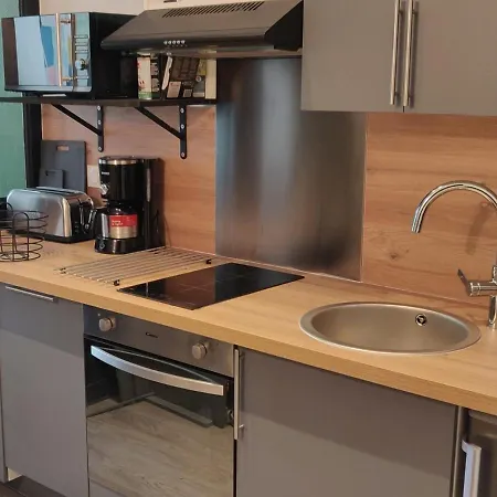 Appartement La Bourboule, 2 Pieces, 4 Personnes - Fr-1-667-6 La Bourboule
